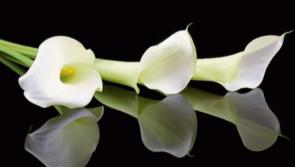 RIP: Tipperary deaths and funeral details, December 3