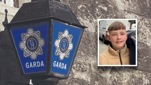 Search for 15-year-old boy missing for almost two weeks stood down as garda&iacute; issue update