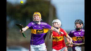 REPORTS: Holycross hosts four County U13 hurling finals in a fantastic day of underage action