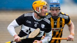 TEAM OF THE YEAR:  Tipperary Premier Intermediate Hurling Championship 2025