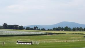 Seven-race card at Clonmel Racecourse includes the feature event of the year