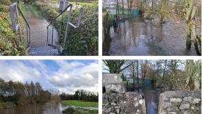 Major flooding hits Tipperary as council facilities close and roads become impassable