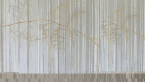 New exhibition at Tipperary arts centre traces sequences of movement across three sites