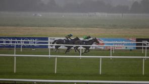 Alternative temporary venues announced for Tipperary horse racing fixtures