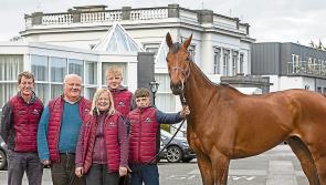 Tipperary hotelier sells two horses for more than three quarters of a million euro