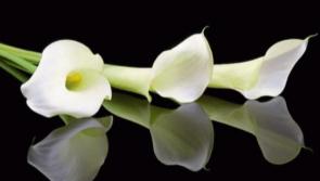 RIP: Tipperary deaths and funeral details,