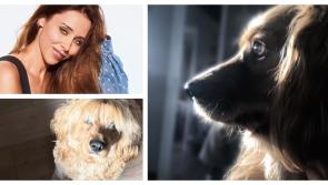 Una Healy mourns the loss of beloved rescue dog Charlie just days before Christmas