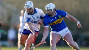 Tipperary Live player ratings - Tipperary vs Waterford in Munster Hurling League - Round 1
