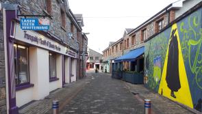 Tipperary councillors come to blows over issue with lights on local street