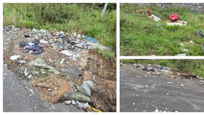 Calls made for more CCTV camera to combat illegal dumping in Tipperary