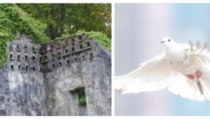 Talk to explore medieval dovecotes and pigeon houses across Tipperary and Galway