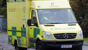 Infant boy hospitalised with 'serious injuries' after dog attack in Kilkenny