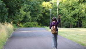 REVEALED: Councillor questions &euro;400,000 spent on greenway without any plans shown