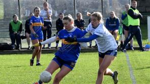 Tipperary scoring drought in either half leads to home defeat against a strong Cavan effort
