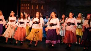 PICTURES: Tipperary Pantomime Society scale new heights with Jack and the Beanstalk