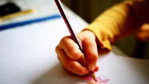 'I am genuinely shocked' at the Minister&rsquo;s response to Special Needs Assistant motion