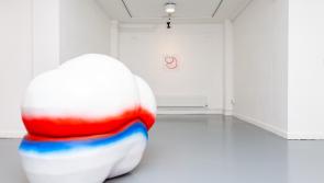 Migrating from Australia to rural Tipperary is  behind the story of a new art exhibition