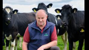 Tipperary farming leader says 'utter confusion' on new rules must be addressed immediately