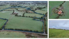 Prime 56-Acre road side holding in Tipperary set to go under the hammer later this month