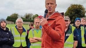 Better protection needed for hedgerows  insists Tipperary-based Hedgerows Ireland leader