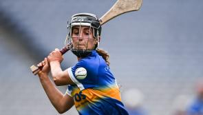 Top Tipperary stars join coaching team for Nenagh Éire Óg summer camp