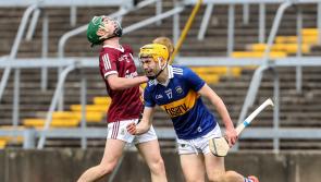 GALLERY: Massive celebrations after Tipp minors clinch All-Ireland final spot