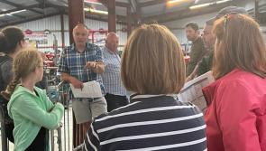 Family fun day: Portroe's village's vintage festival back after Covid disruption