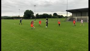 Premier Intermediate: Saturday club hurling fixture changed