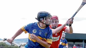 Preview: Do or die for Tipp camogie against Cork this Saturday