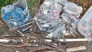 Tipperary County Council issued 26 fixed penalty litter fines in Nenagh area last year