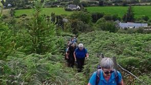 Nenagh Walking Club all set for Tonntinna climb 'as Ghaeilge'