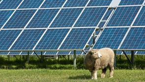The Energy & Farm Diversification Show takes place this week 