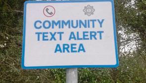 Nenagh councillor calls for  support for community alert groups