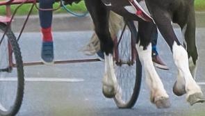 Nenagh sulky race follower fined for breaching Covid-19 travel restrictions