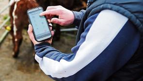 40 new jobs announced for Roscrea and Tipperary Town