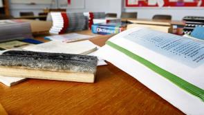 Back to school: Nenagh councllor calls for education to be made 'genuinely free'