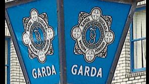 Nenagh garda&iacute; question man over alleged lunchtime assault with an implement