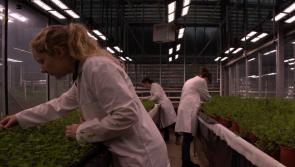 Tipperary agri-business in €4m research programme to cut applied nitrogen fertilizers