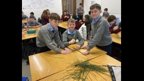 St Mary's Newport celebrate St Brigid's Day and Ceiliúradh CEIST