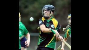 Club camogie round up: Wins for Burgess and Knockavilla Kickhams