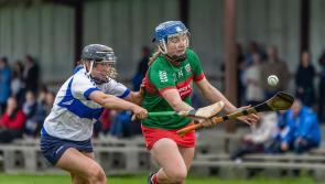Drom & Inch's arsenal too much for Silvermines in the camogie championship