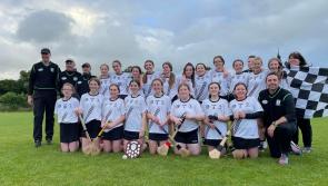 PICTURES: Round up of last weekend's U14 County finals
