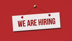 JOBS BOARD: Five companies hiring staff in Tipperary this week