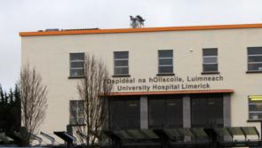 New figures show 'chronic under-investment' of HSE services in the Mid West, says TD