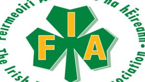 Horticulture support scheme welcome but must include all growers - IFA