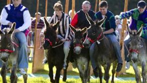 Huge crowds expected as Clonmel Agricultural Show gets underway on Sunday