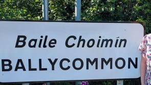 Ballycommon traffic calming measures great benefit to village's school and shops