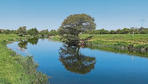Ballycommon waste water treatment plant to have its sludge removal increased by one third
