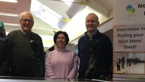 Silvermines Men's Shed group hosts exhibition in Nenagh library with focus on woodturning