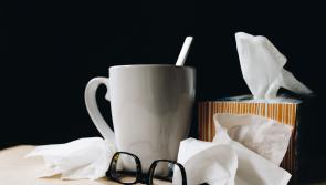 Public Health Mid-West are concerned about flu, Covid-19 and RSV this Christmas